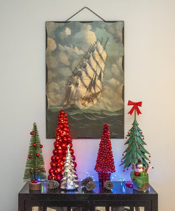 Stephen Freeman’s Heritage Creek home gives a nod to the shipbuilding history of Milton and a collection of keepsake trees.